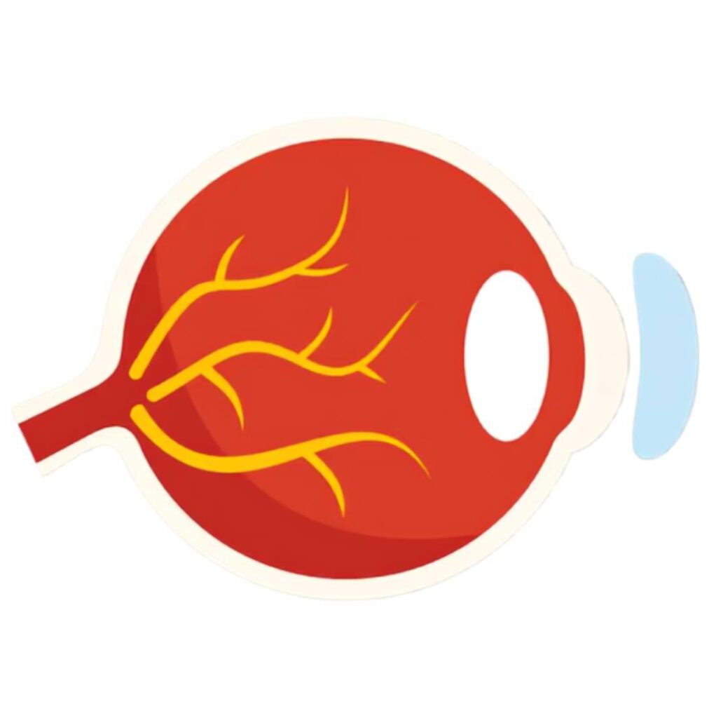 What is the Retina?